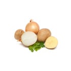 BIO sadba zeleniny