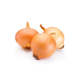 BIO sazečka a šalotka