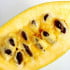 Pawpaw vnese do vaší zahrady exotickou atmosféru