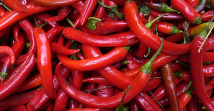 Proč chilli pálí? 