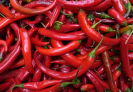Proč chilli pálí? 