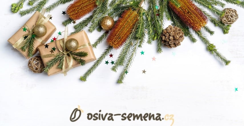 Vánoční balení semínek může být perfektní dárek