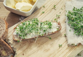 Řeřicha – vitamínová bomba v zimě