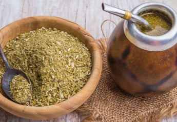 Yerba maté – zdravější než káva